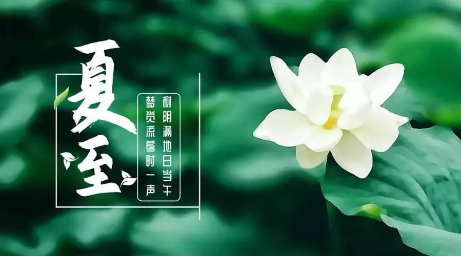 没有一个“夏”字,却句句都是夏天