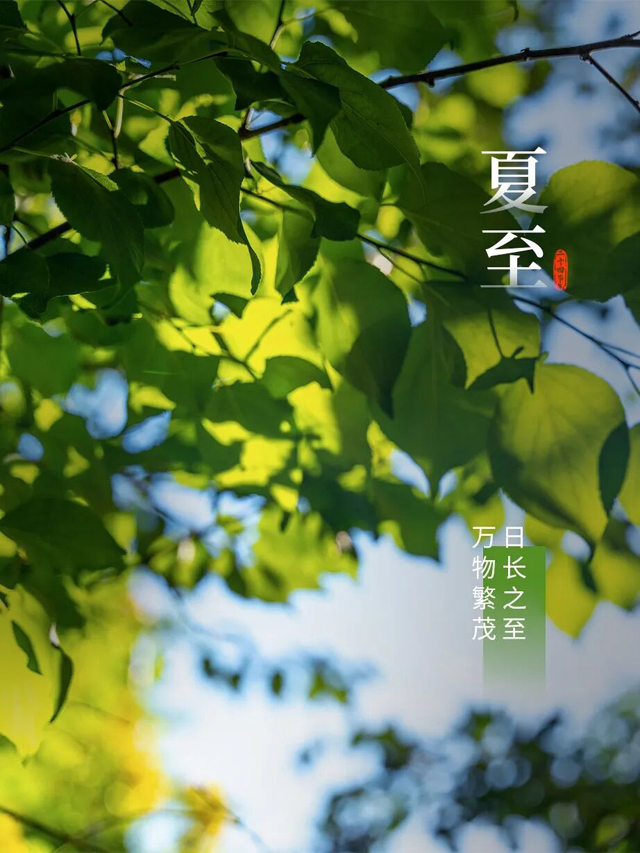 今日夏至，迎接盛夏！