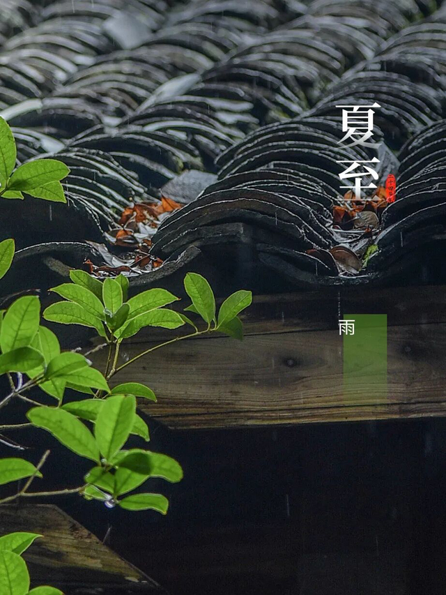 今日夏至，迎接盛夏！