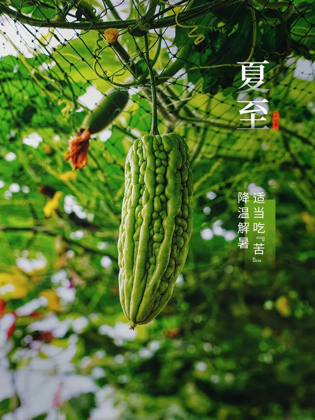 今日夏至，迎接盛夏！