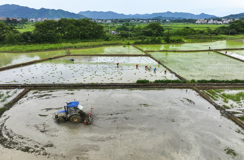 贵州、湖南部分受灾地区生产生活秩序逐步恢复