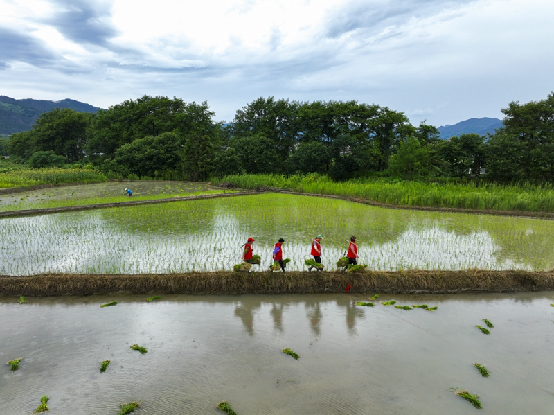 贵州、湖南部分受灾地区生产生活秩序逐步恢复