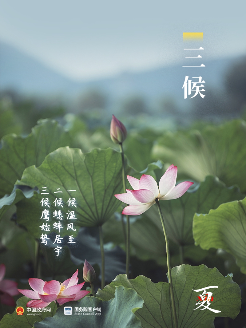 夏梦正长，小暑已至