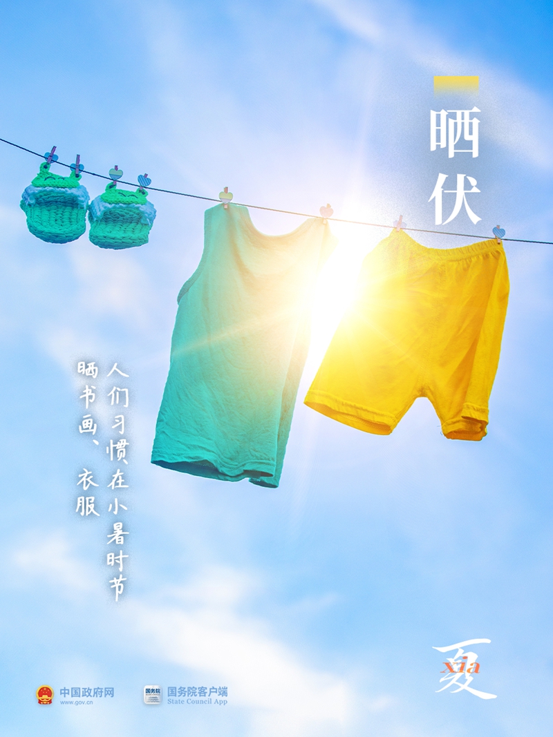 夏梦正长，小暑已至