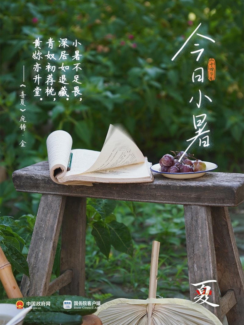 夏梦正长，小暑已至