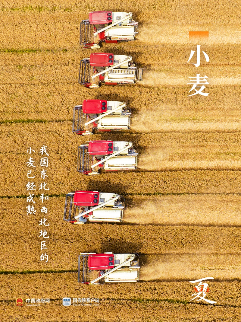 夏梦正长，小暑已至