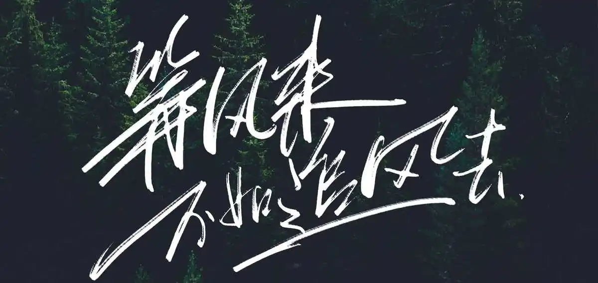 等风来，不如追风去