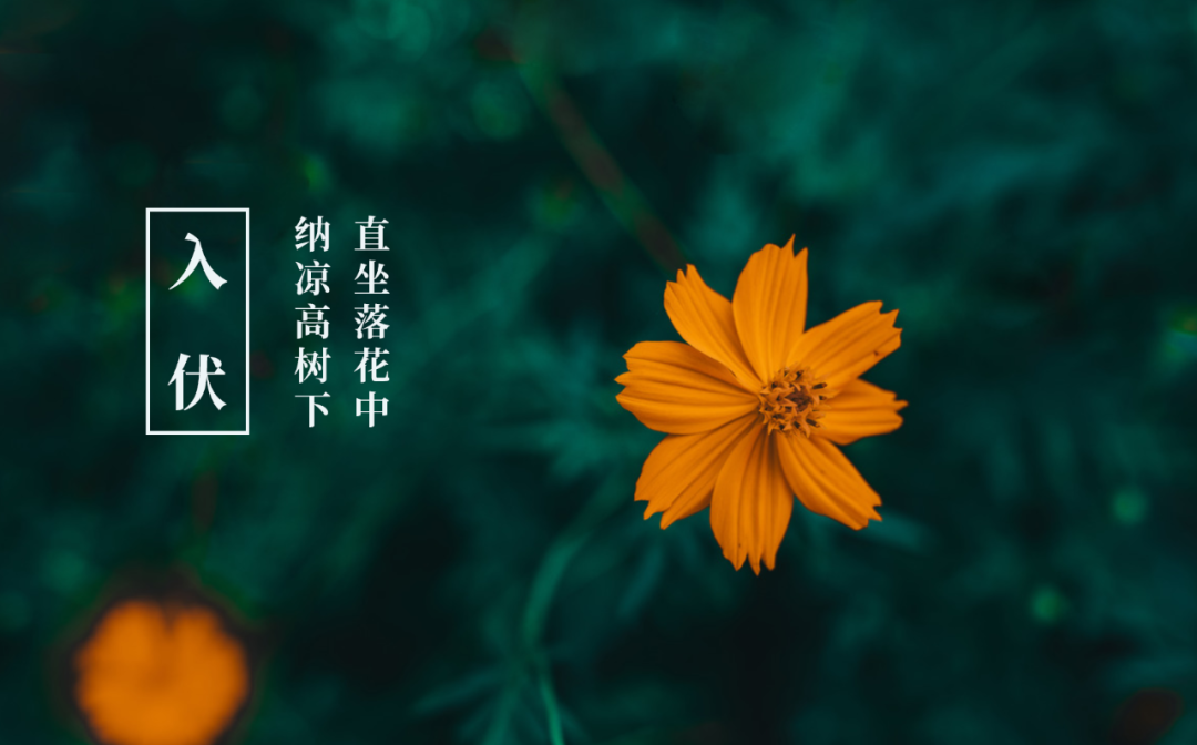 10种打开夏天的方式，邀你一起解锁