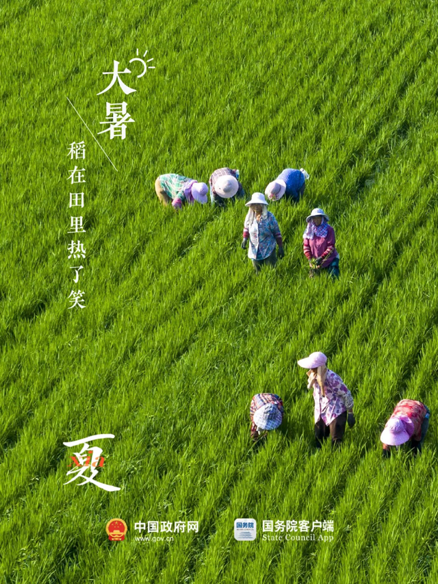 大暑至，夏正浓