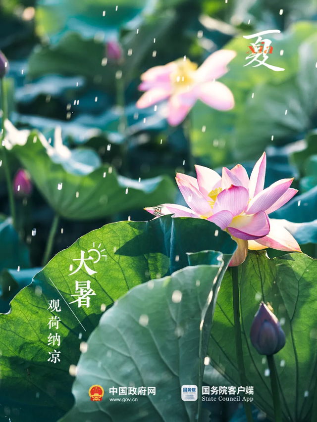 大暑至，夏正浓