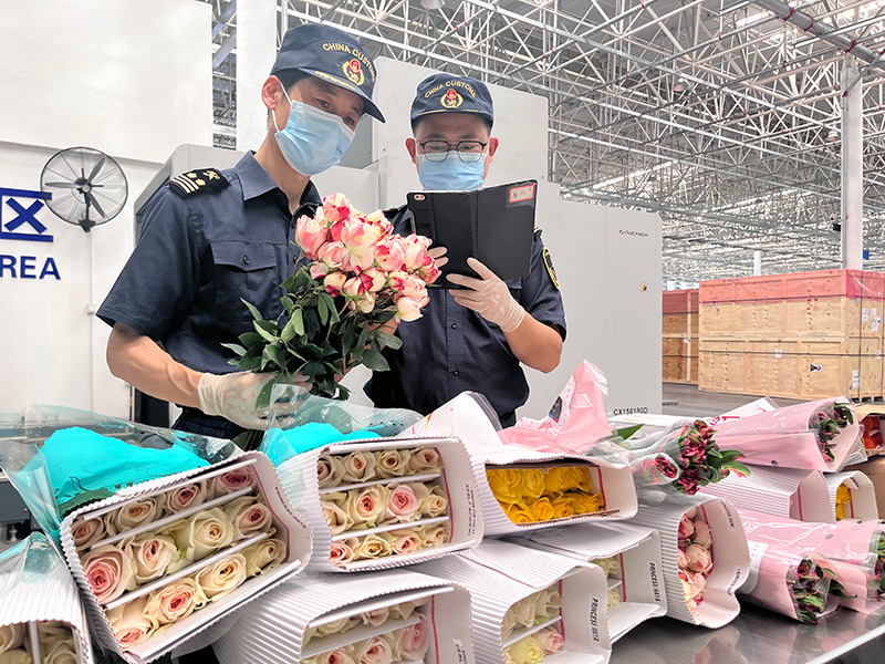 全国首例非洲鲜花转口贸易在长沙完成