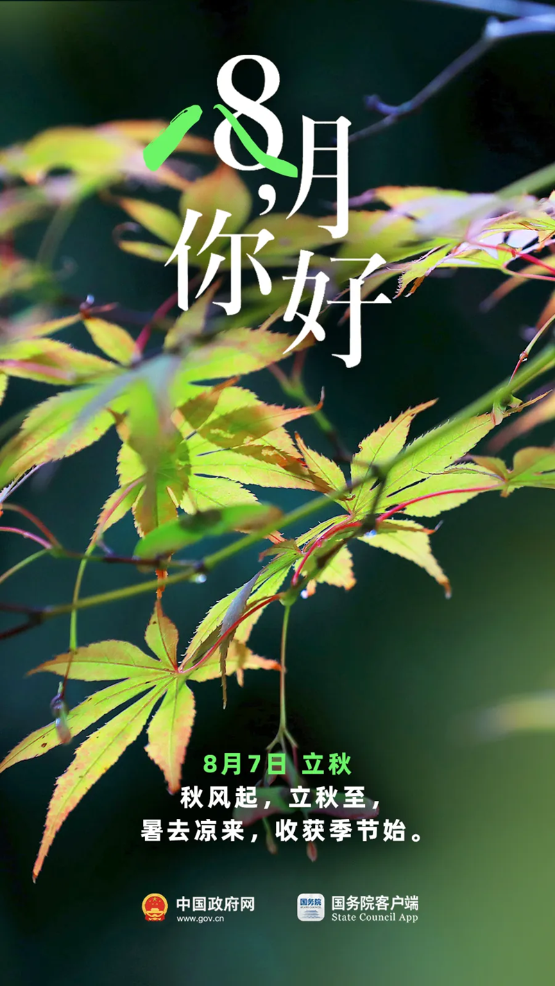 8月，你好！