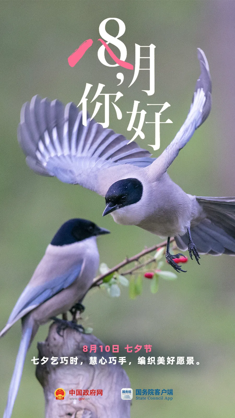 8月，你好！