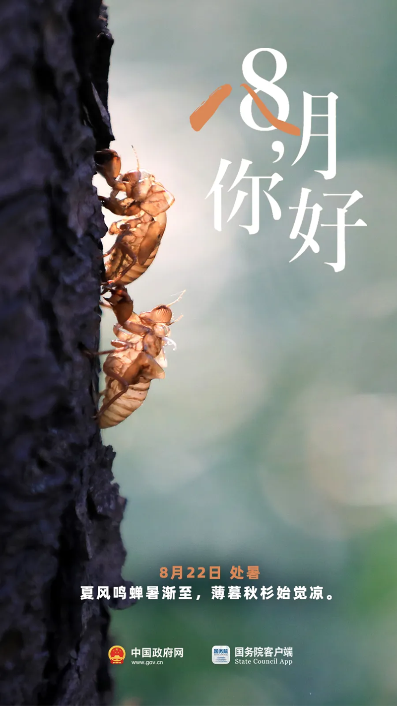 8月，你好！