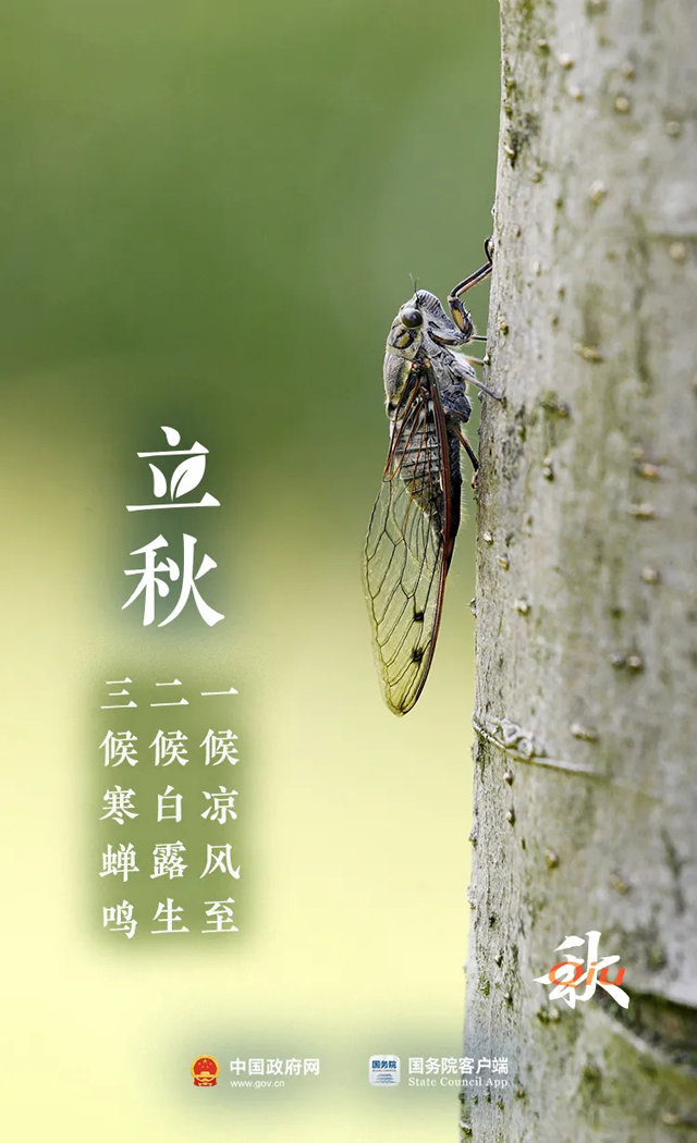 悄默声儿的，它来了