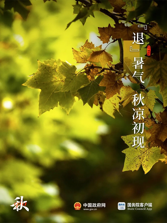 今日处暑：新凉直万金！