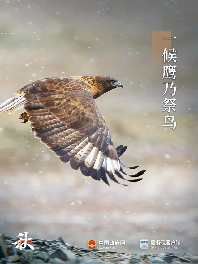 今日处暑：新凉直万金！