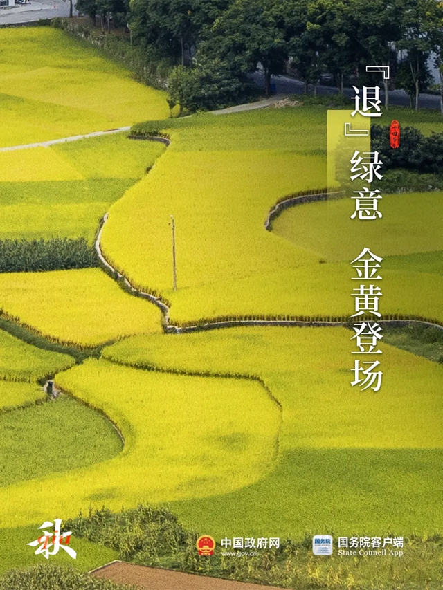 今日处暑：新凉直万金！