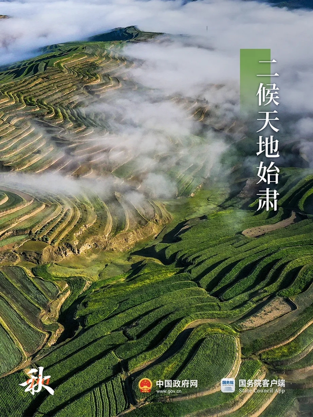 今日处暑：新凉直万金！