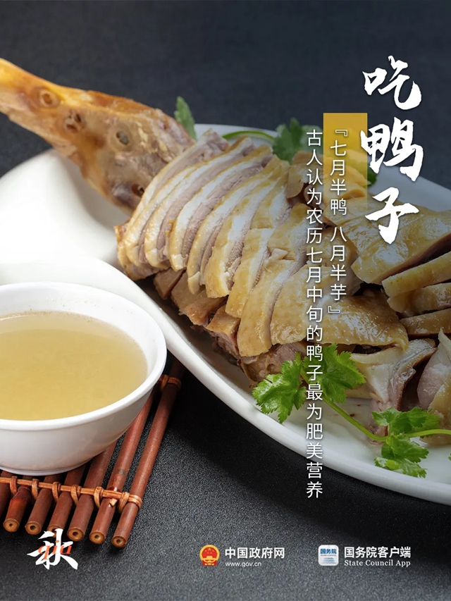 今日处暑：新凉直万金！