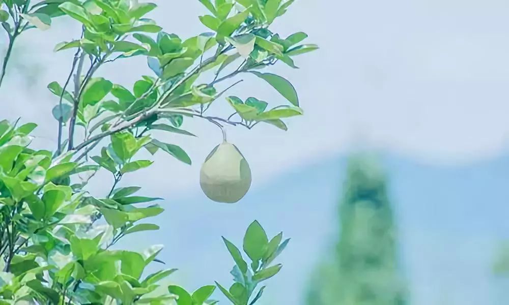 成功没有捷径，只有持续不断的努力和执着专一的坚持，才能帮助我们实现理想。把今天的每一小步走得稳稳当当，才能逐步汇聚成明天通往成功的一大步。相信时间的力量，你终将开创属于自己的未来。新的一天，早安！