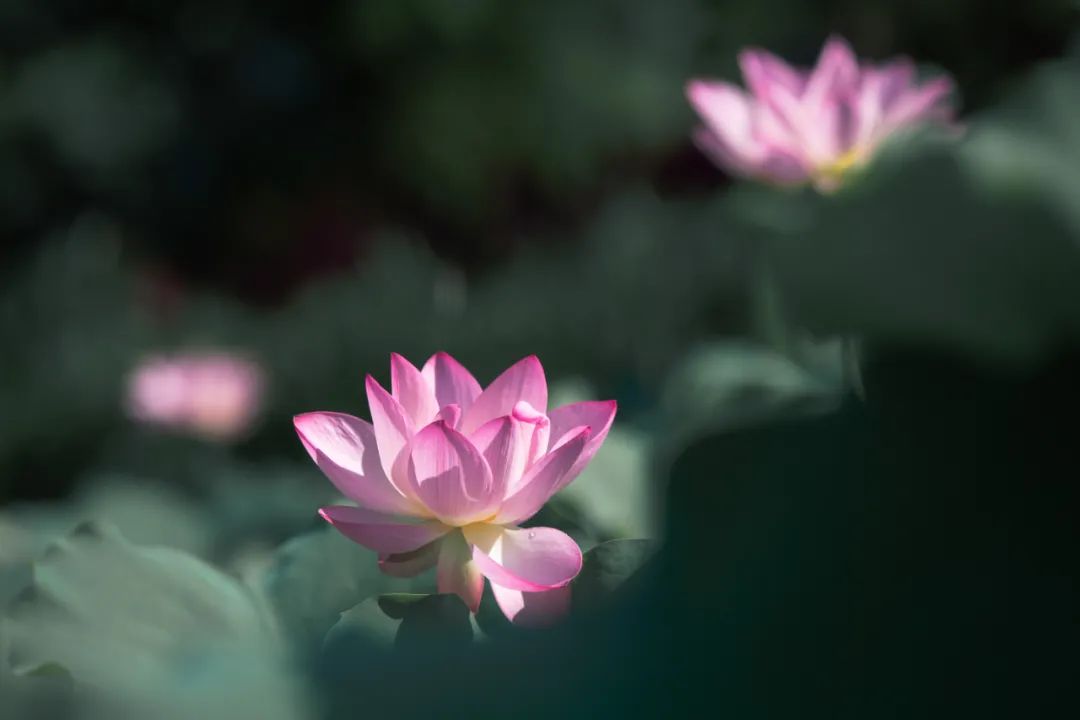 家，越干净，越有福