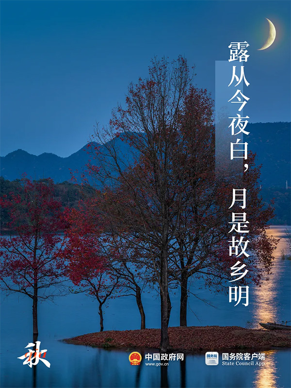 今日白露 | 秋意渐浓，露从今夜白