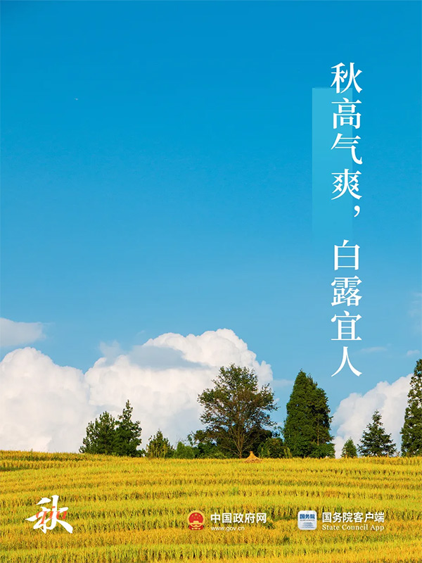 今日白露 | 秋意渐浓，露从今夜白