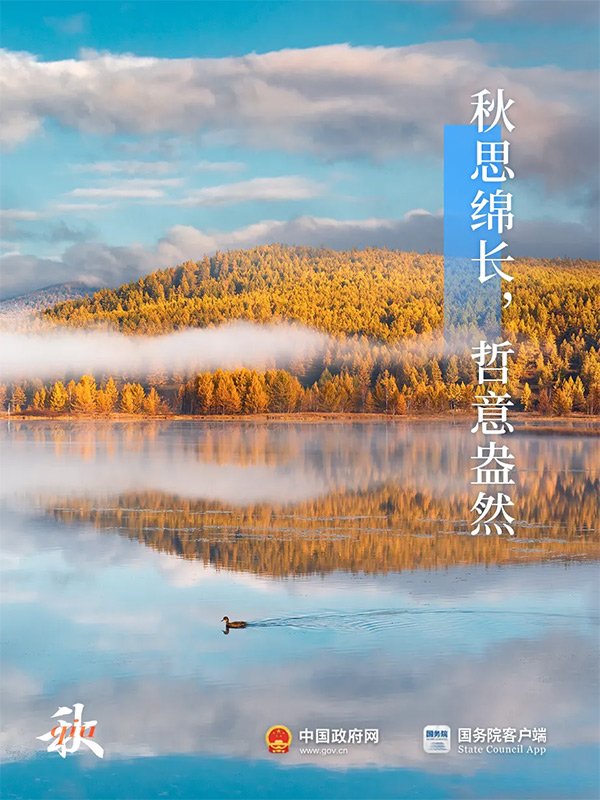 今日白露 | 秋意渐浓，露从今夜白