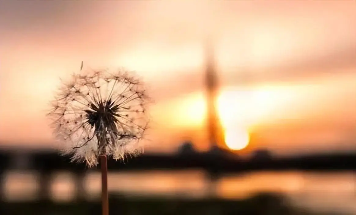 一个人最好的生活方式，就这三句话